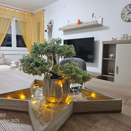 Apartman Vukota 2 皮罗特 外观 照片
