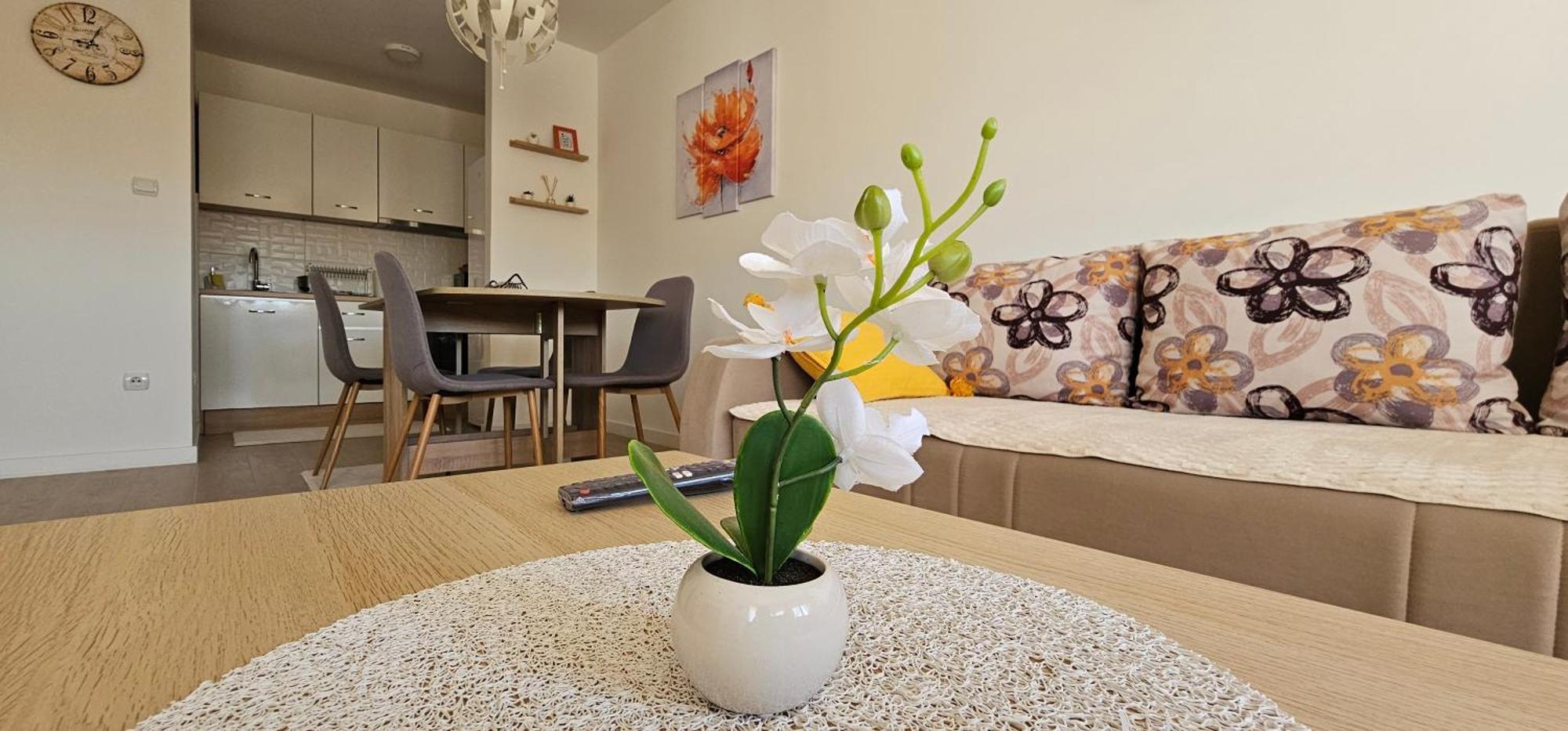 Apartman Vukota 2 皮罗特 外观 照片