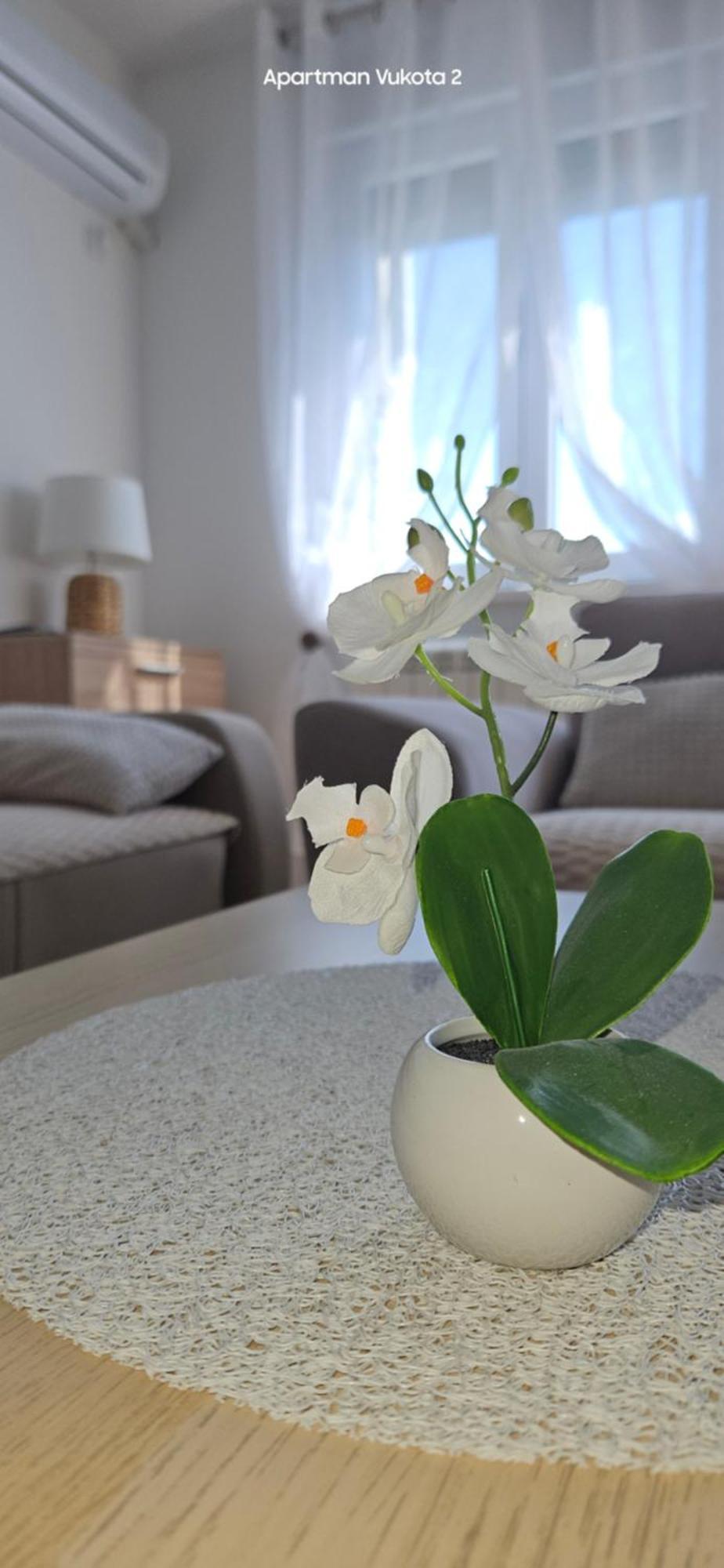 Apartman Vukota 2 皮罗特 外观 照片