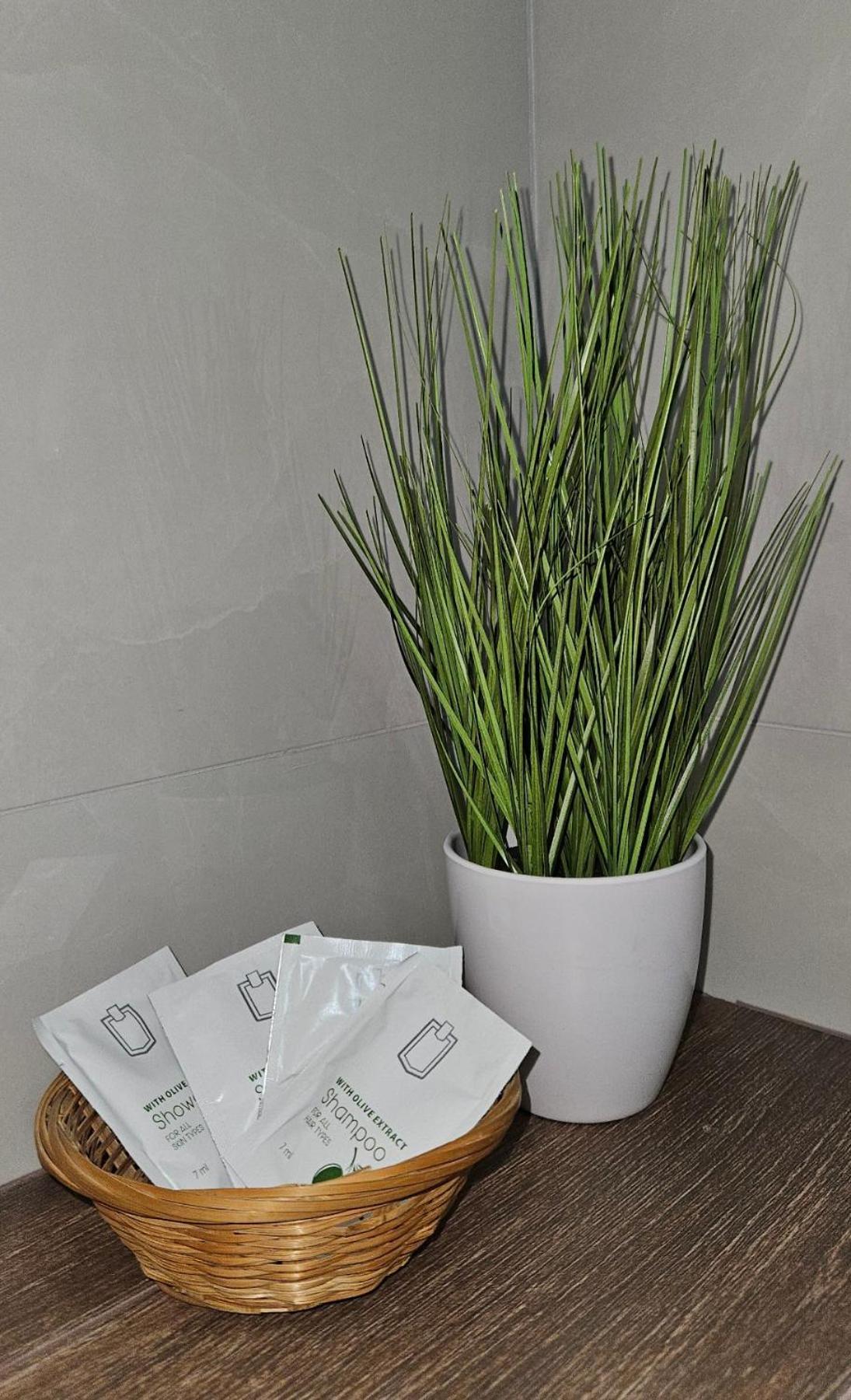 Apartman Vukota 2 皮罗特 外观 照片